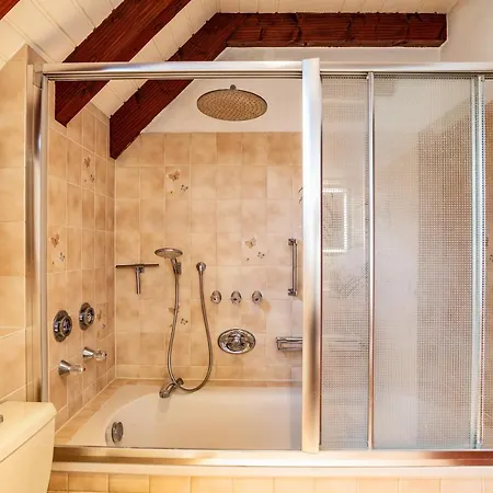 Cheng * 巴登-巴登